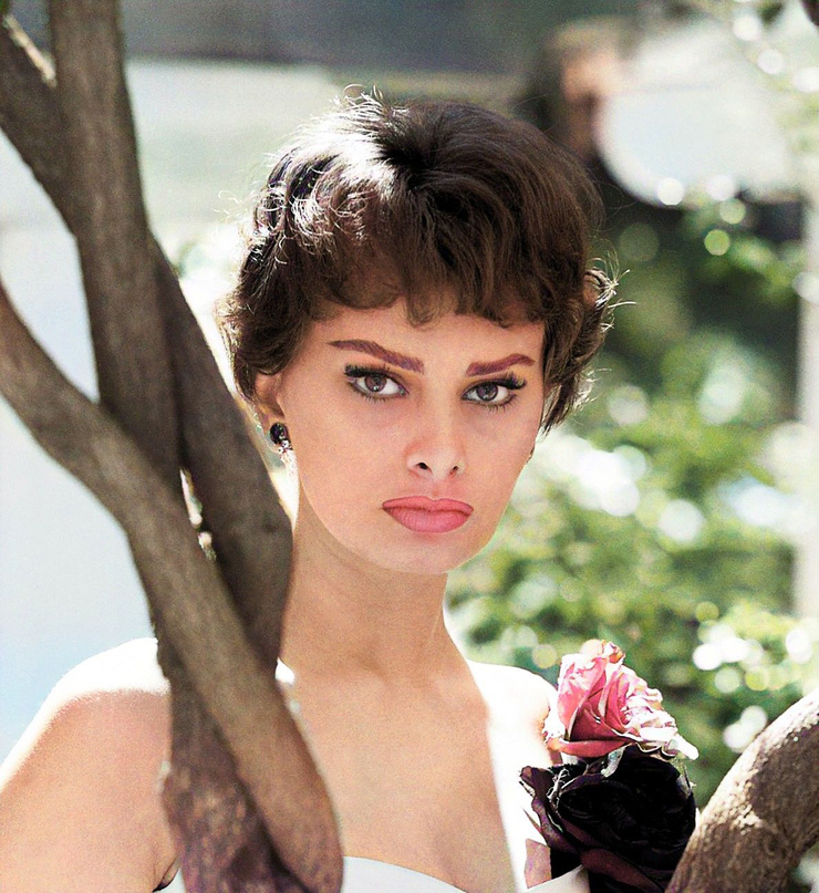 Sophia Loren Sophia Loren