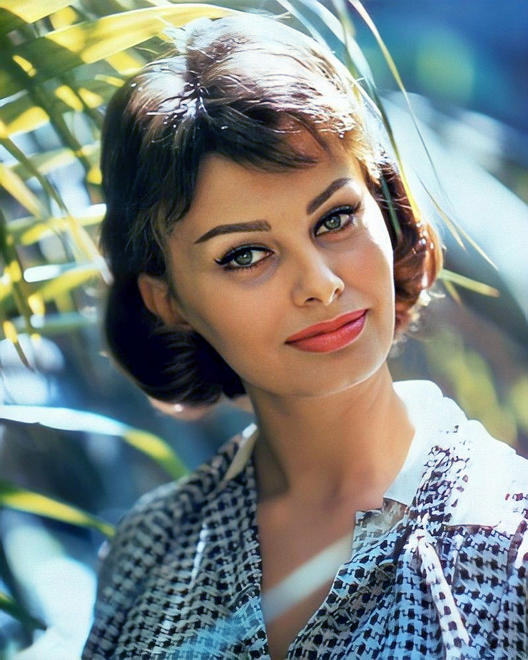 Sophia Loren Sophia Loren
