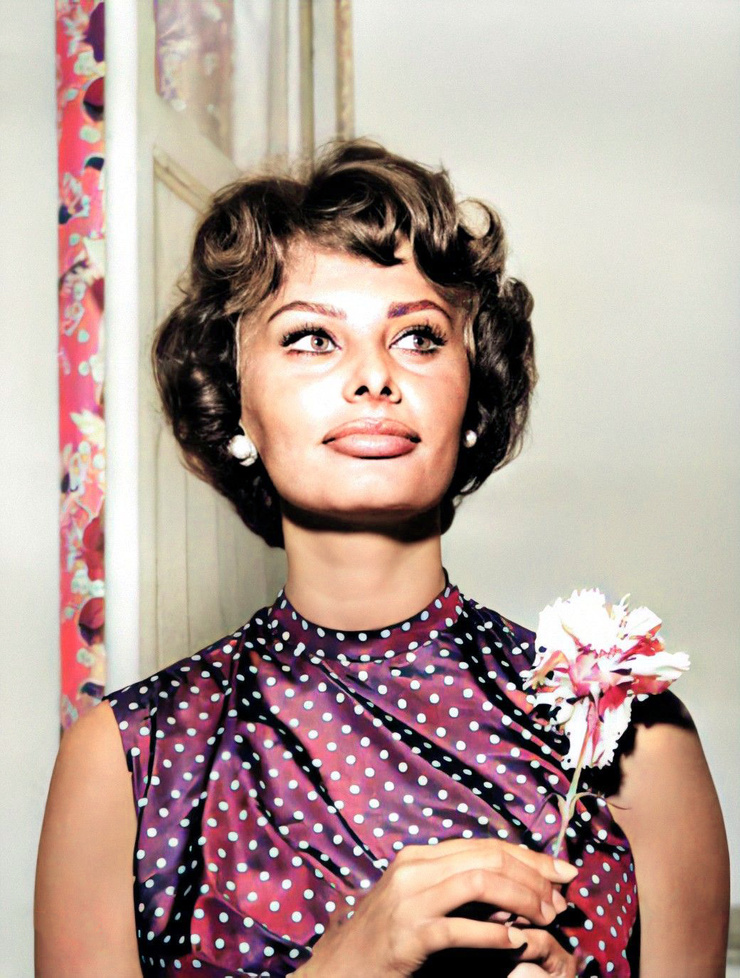 Sophia Loren Sophia Loren