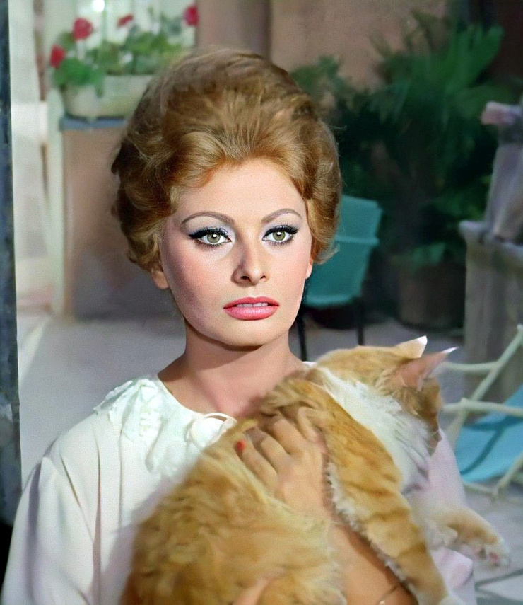Sophia Loren