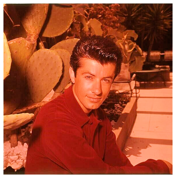 George Chakiris