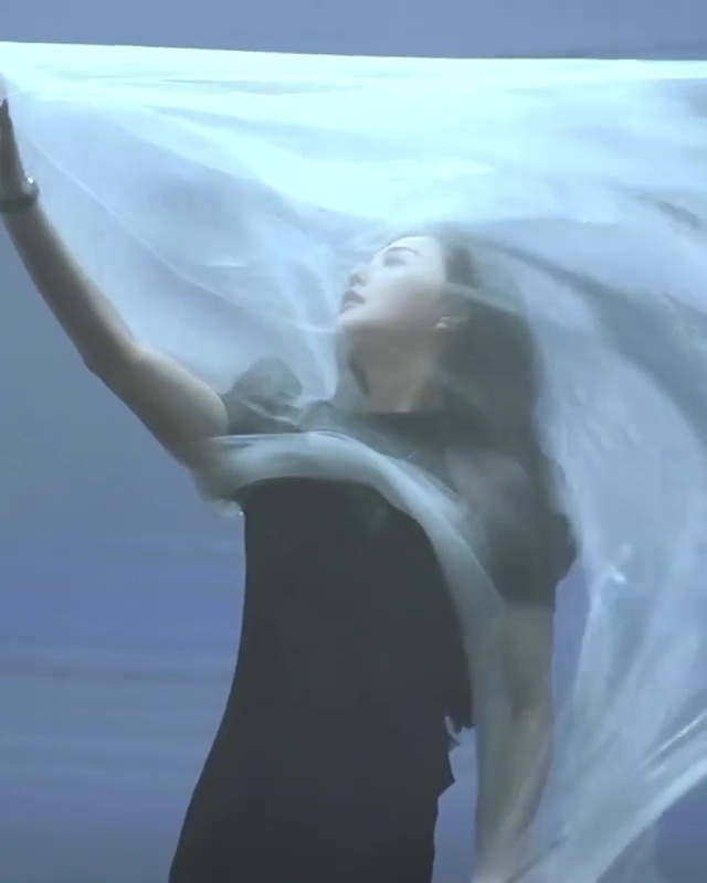 Bingbing Fan