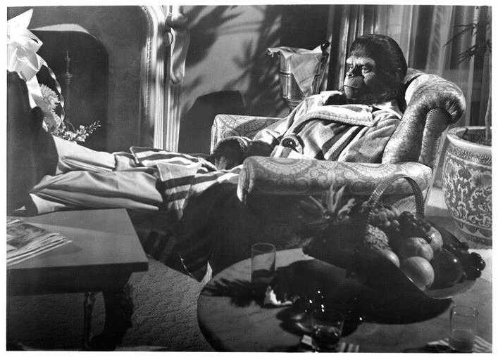Escape from the Planet of the Apes