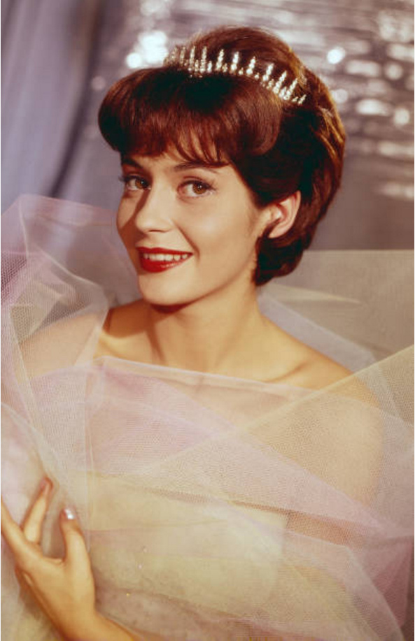 Judith Dornys