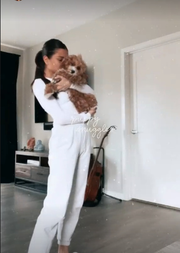 Cristine Prosperi Cristine Prosperi