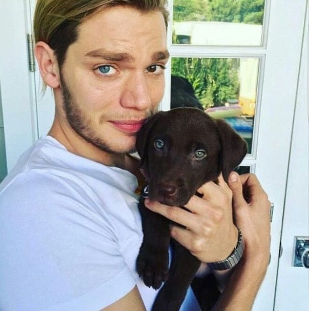 Dominic Sherwood