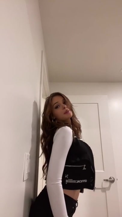 Brighton Sharbino