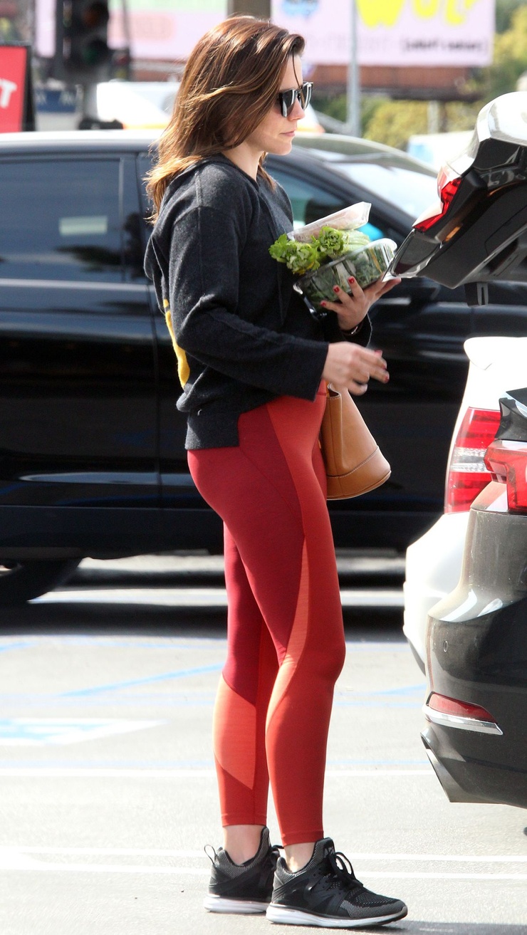 Sophia Bush