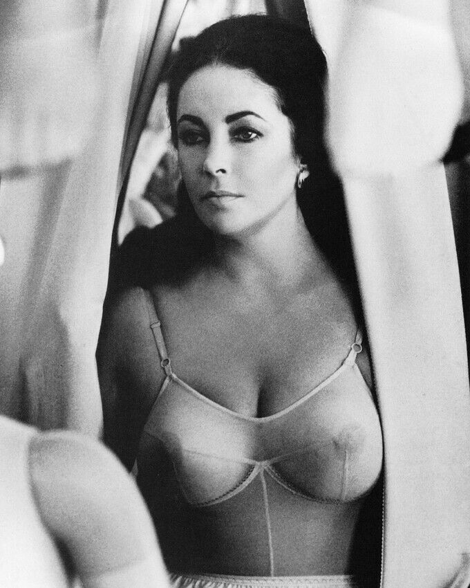 Elizabeth Taylor Elizabeth Taylor