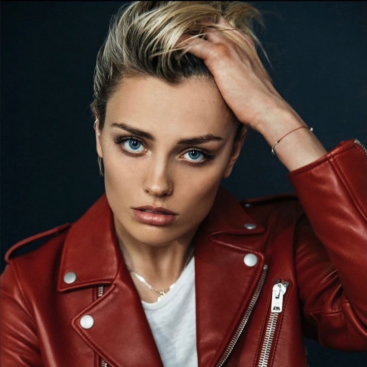 Wallis Day Wallis Day