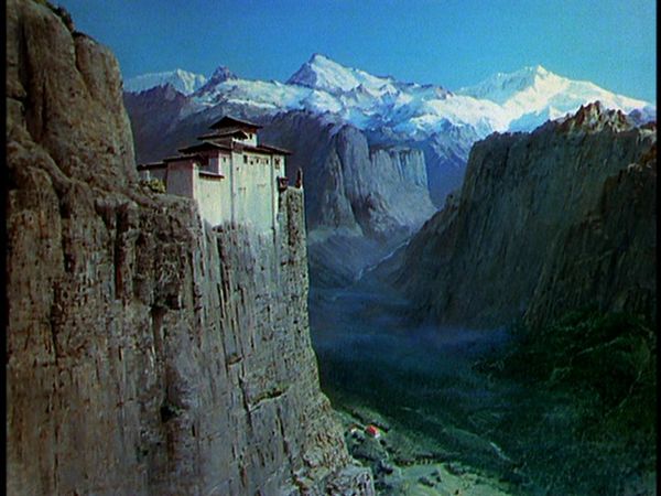Black Narcissus Black Narcissus