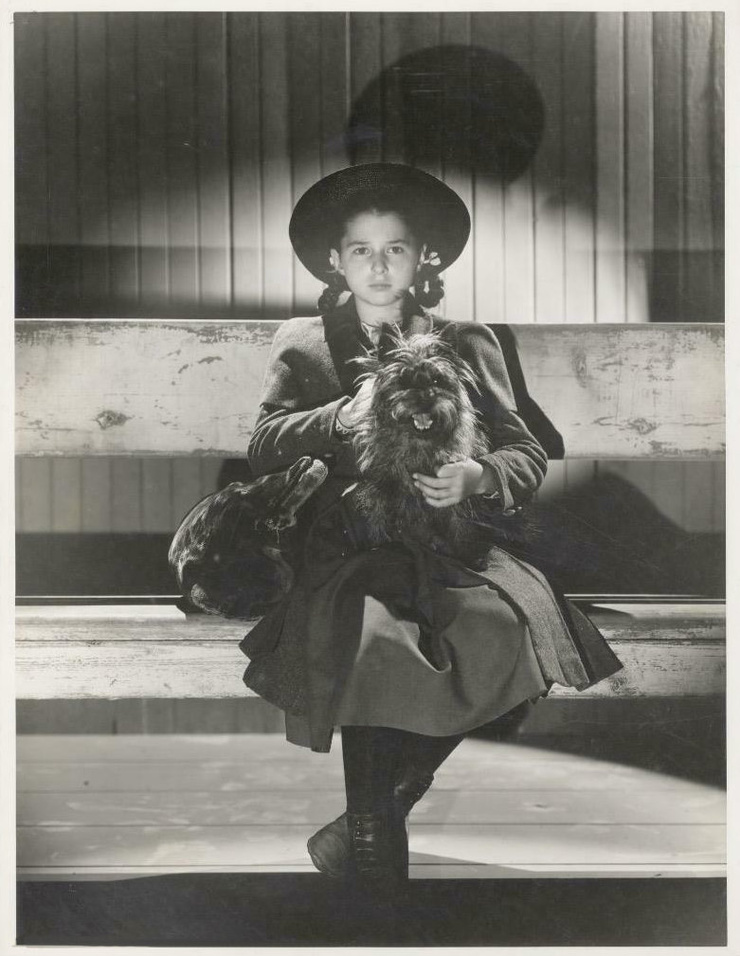 Virginia Weidler Virginia Weidler