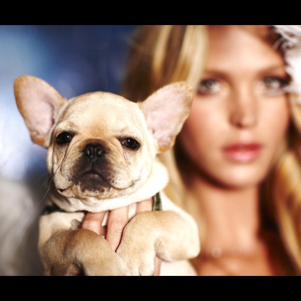 Erin Heatherton Erin Heatherton