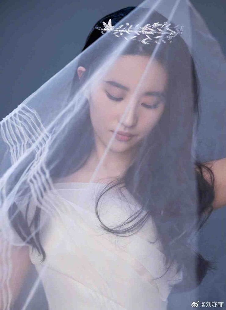 Yifei Liu Yifei Liu