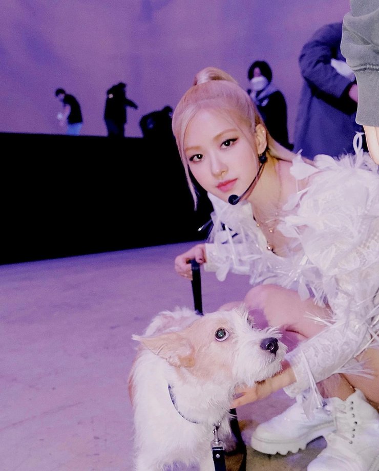 Roseanne Park