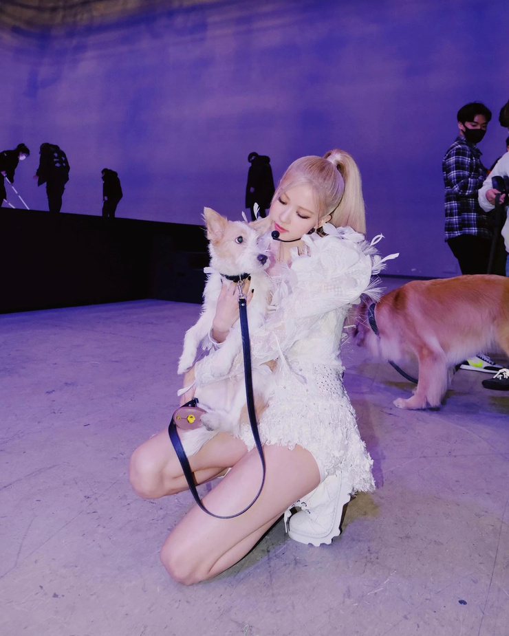 Roseanne Park