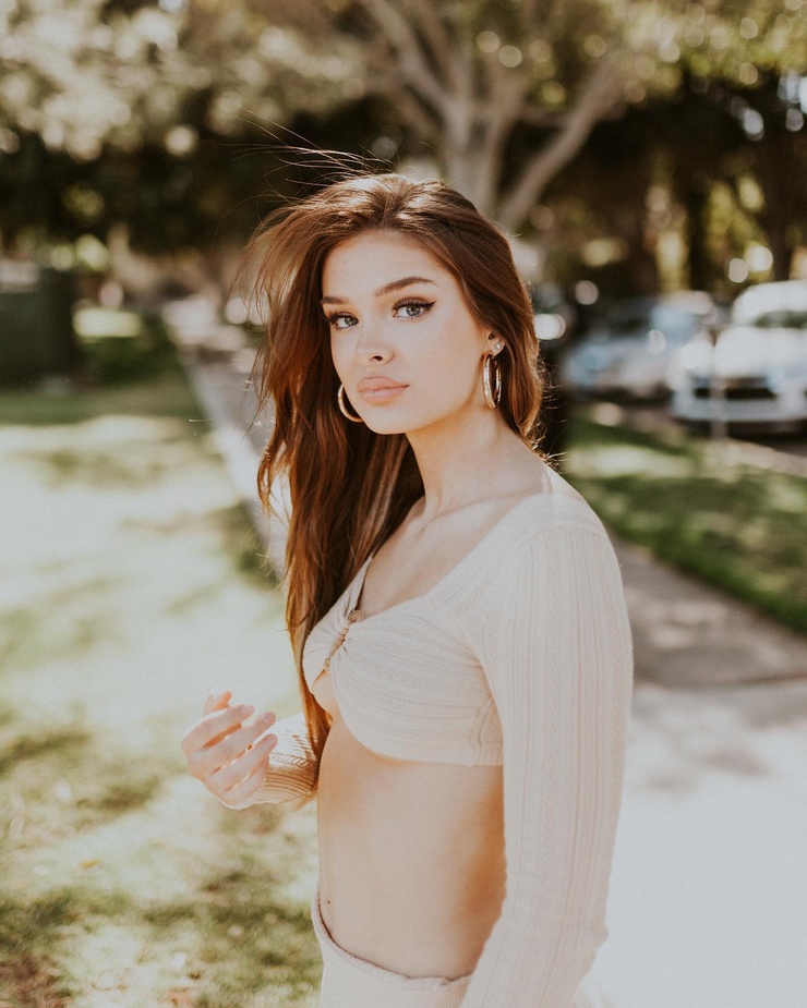 Brighton Sharbino
