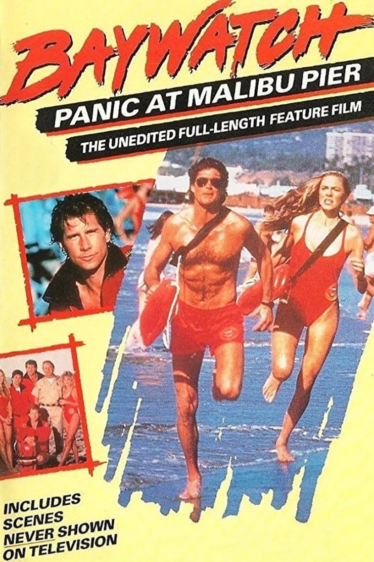 Baywatch: Panic At Malibu Pier Image