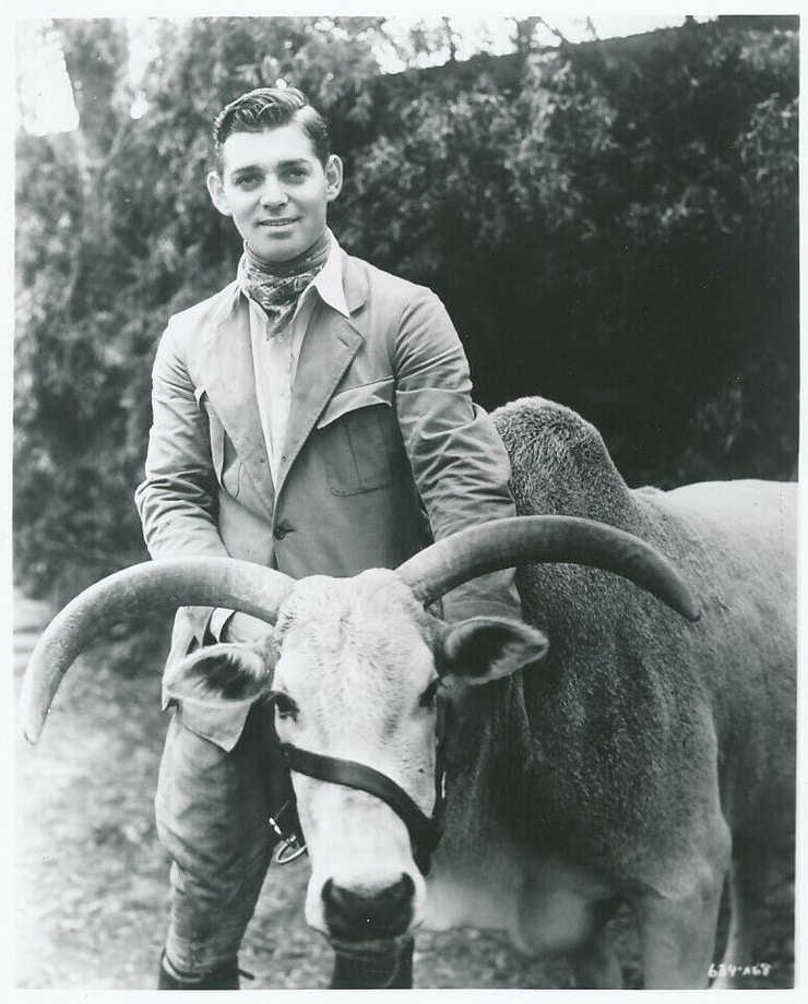 Clark Gable