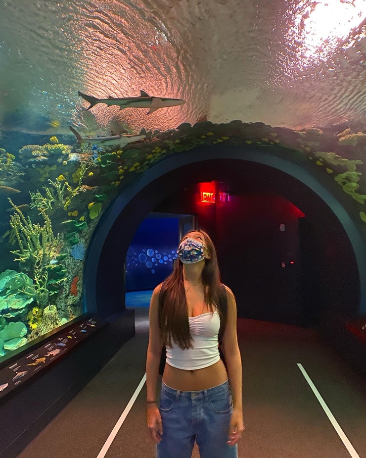 Lily Chee