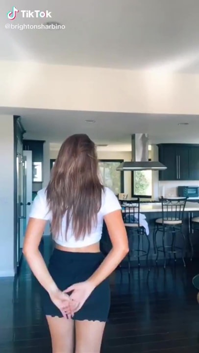 Brighton Sharbino
