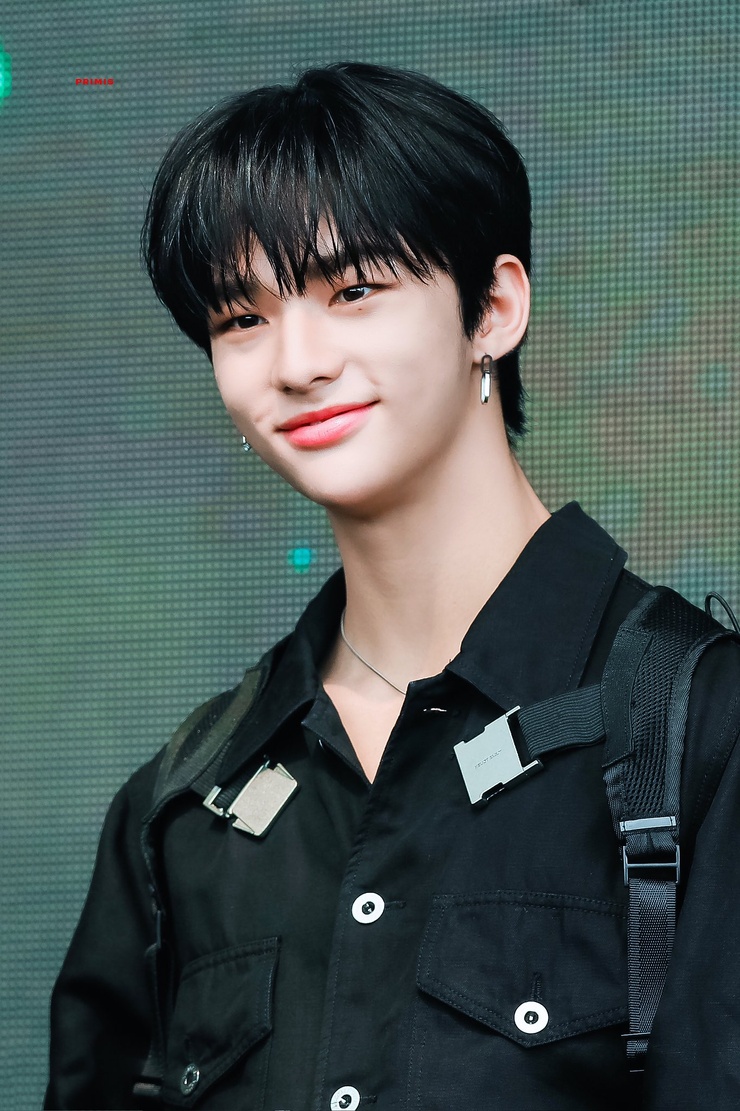 Hyun-Jin Hwang