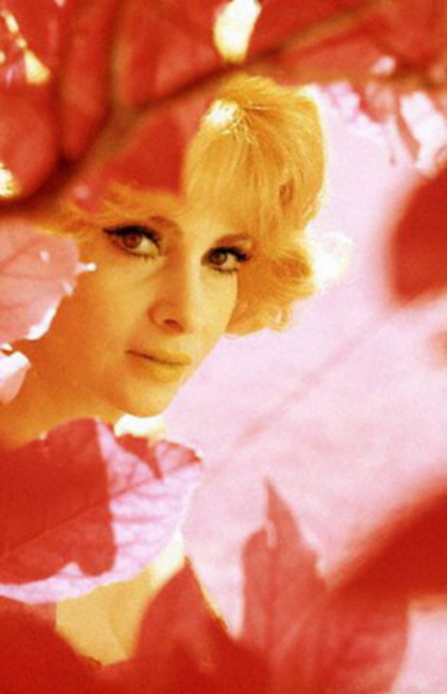 Gina Lollobrigida
