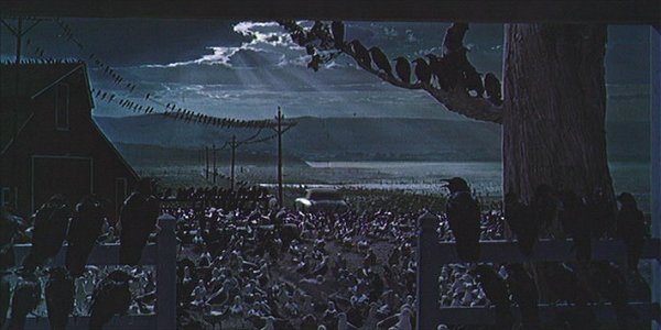 The Birds The Birds