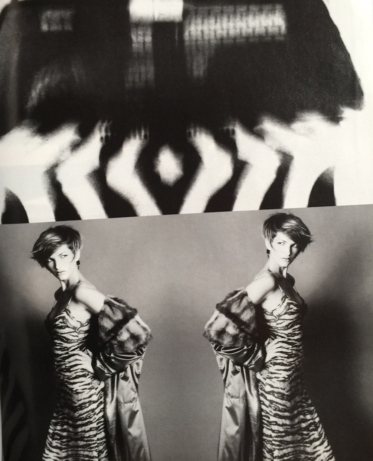 Jackie Volker