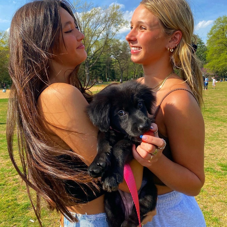 Lily Chee