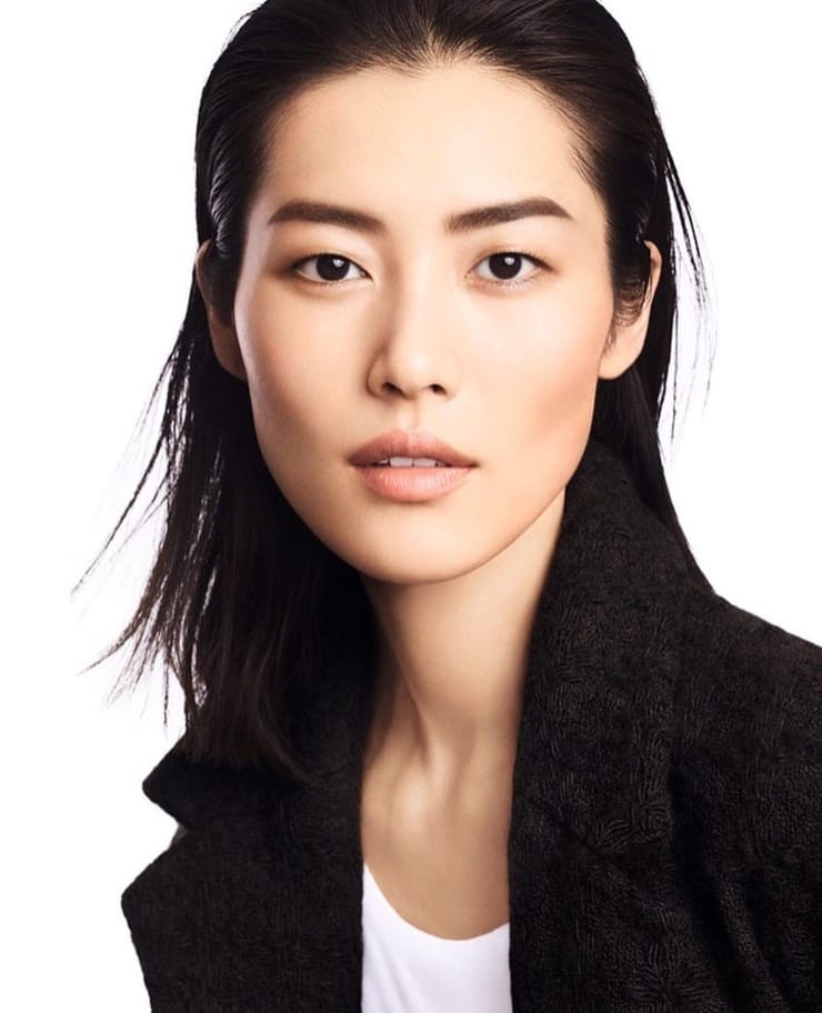 Picture of Liu Wen