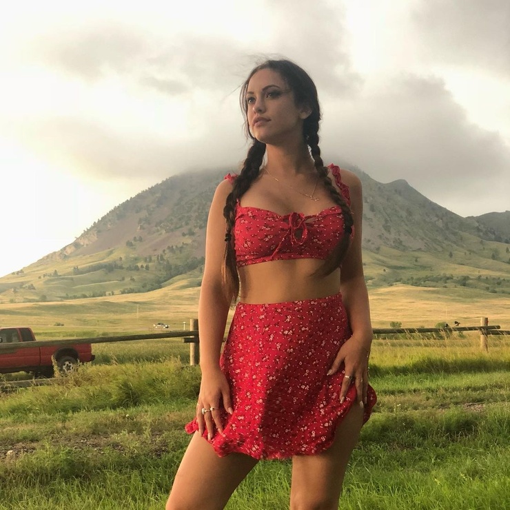 Amber Fields