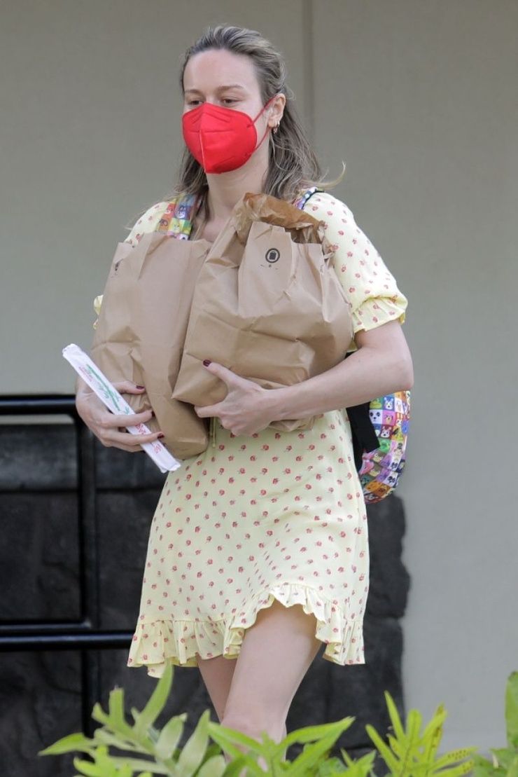 Brie Larson