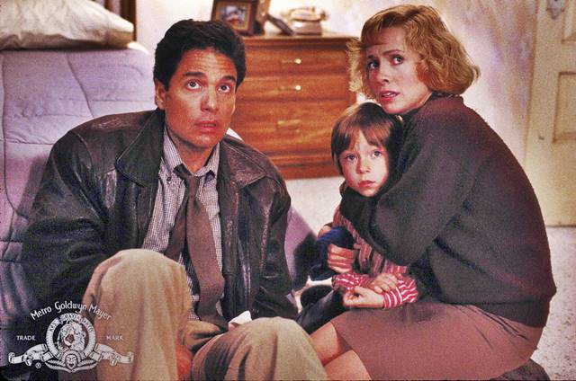 Chris Sarandon