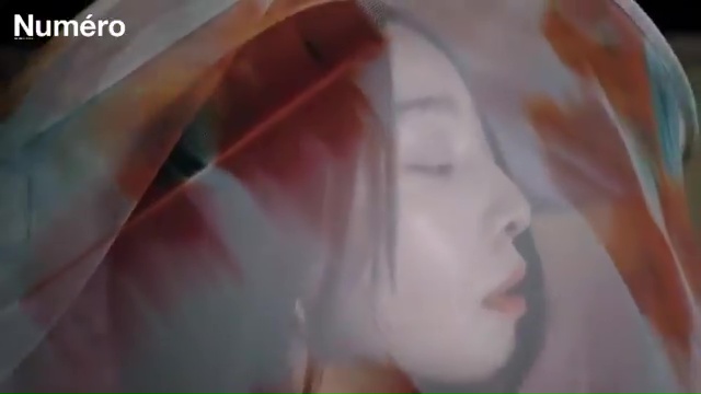 Bingbing Fan