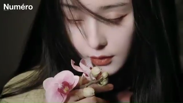 Bingbing Fan