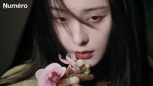 Bingbing Fan