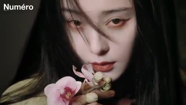 Bingbing Fan