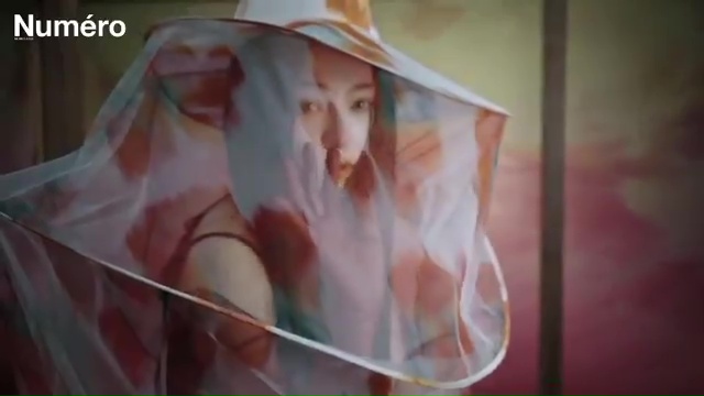 Bingbing Fan