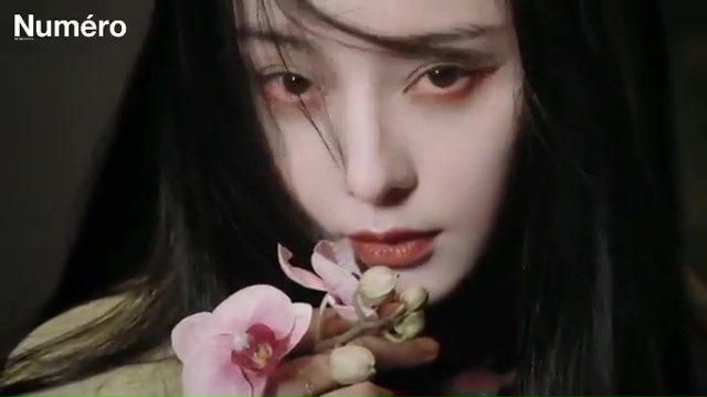 Bingbing Fan