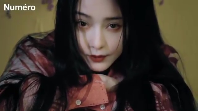 Bingbing Fan