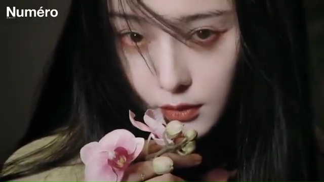 Bingbing Fan