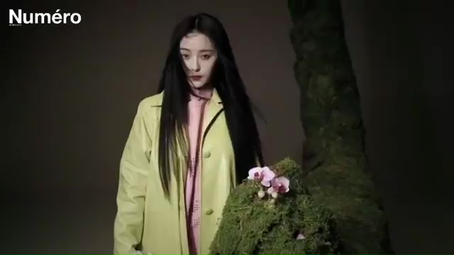 Bingbing Fan