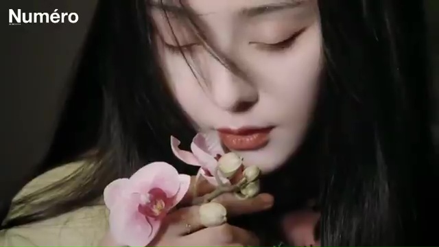Bingbing Fan