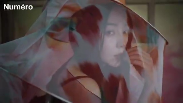 Bingbing Fan