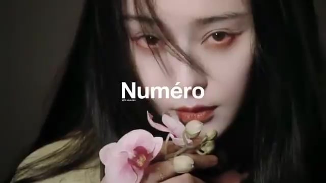 Bingbing Fan