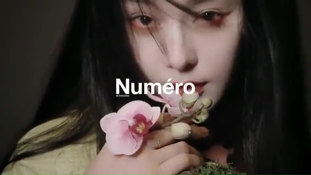 Bingbing Fan
