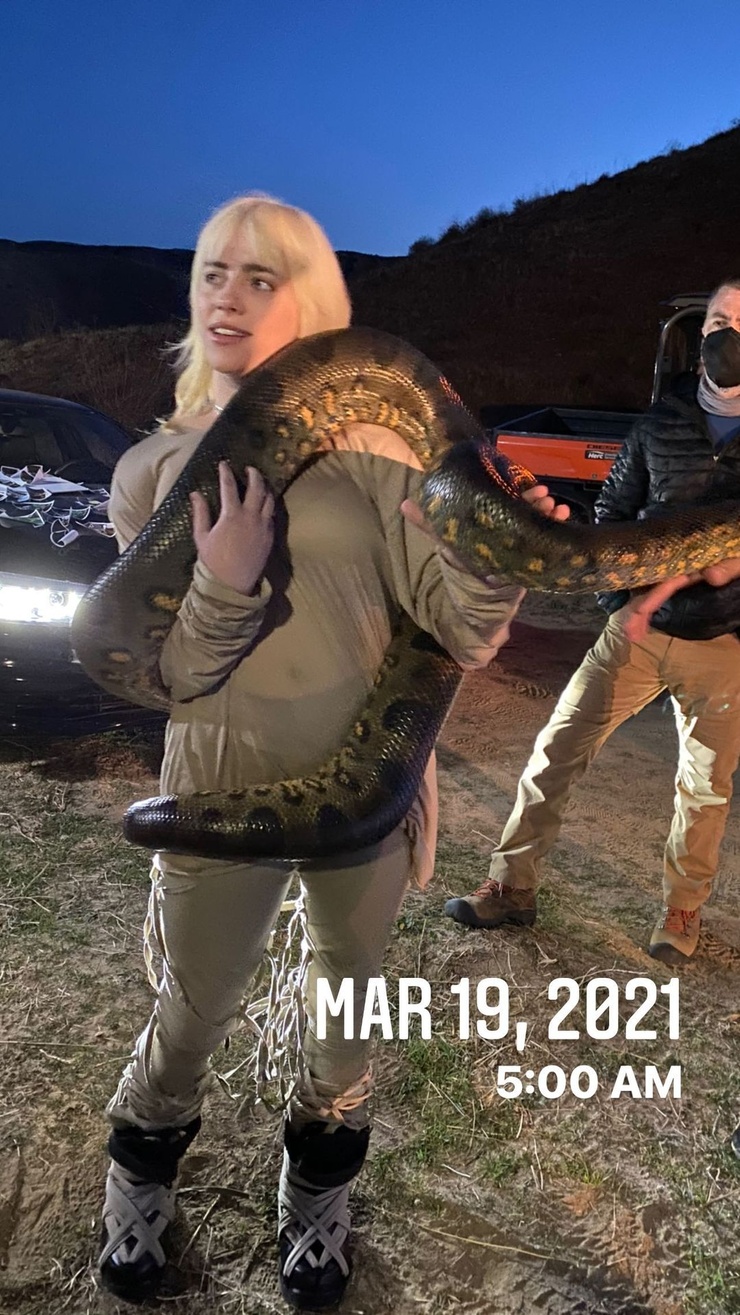 Billie Eilish