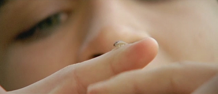 The Helpless Creature (2007)