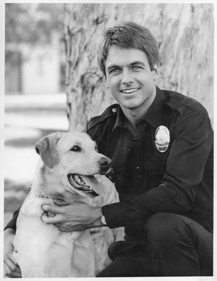 Mark Harmon